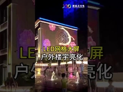 실내 P100 유연 LED Mesh 화면 디스플레이 LED 점광 투명