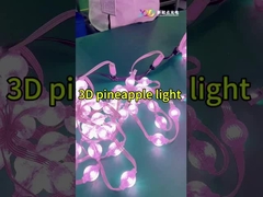 19.6lm 램프 빛 흐름 RGB 3D 크리스마스 라이트 DC12V 건물 조명용