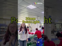 풍경 전색 LED 포인트 라이트 Smd5050 IP67 24v 휴일 조명
